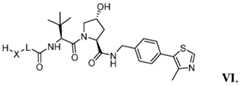 Figure imgf000083_0002