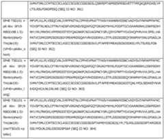 Figure imgf000338_0001