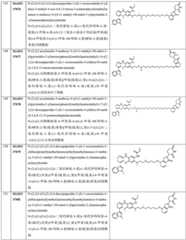 Figure GDA0003276334280000461