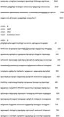 Figure IDA0002188388310000161