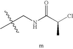 Figure US08309685-20121113-C00160