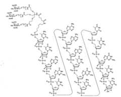 Figure 108131991-A0202-12-0049-18