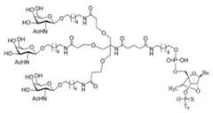 Figure 2023012548000396