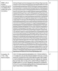 Figure imgf000149_0001