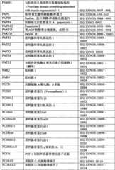 Figure BPA0000291811450003431