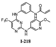 Figure 112016119396583-pat00576