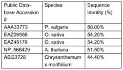 Figure imgf000024_0001