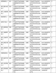 Figure imgf000065_0001