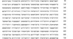 Figure 108131991-A0202-12-0199-907