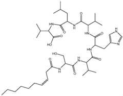 Figure imgf000065_0001