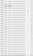 Figure BDA0003282506760001561