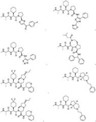 Figure BDA0003027048450000611