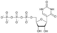 Figure imgf000082_0004