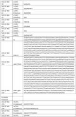 Figure imgf000094_0001