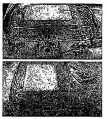 Figure imgf000075_0001