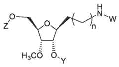 Figure imgf000167_0002