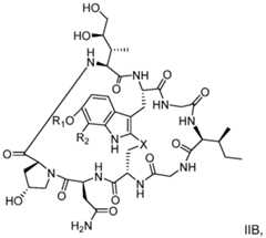 Figure imgf000126_0001