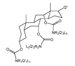 Figure imgf000061_0001
