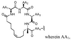 Figure imgf000132_0003