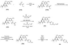 Figure imgf000049_0001