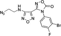 Figure BPA00001327974200938