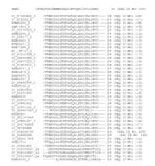 Figure imgf000103_0001