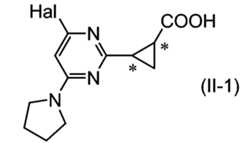 Figure JPOXMLDOC01-appb-C000121