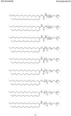 Figure imgf000028_0001