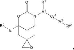 Figure FDA0000045152810000081