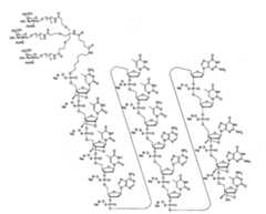 Figure 108131991-A0202-12-0048-17