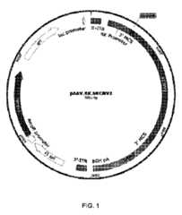 Figure 2024521713000001
