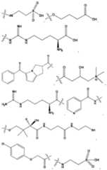 Figure imgf000010_0001