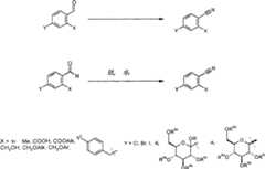 Figure A200780005669D00181