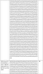 Figure BDA0002508391090001331