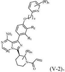 Figure FDA0003778936200000053