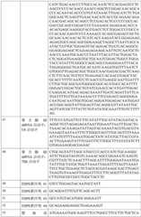 Figure BDA0002317806370000741