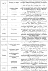 Figure PCTCN2022090268-appb-000081