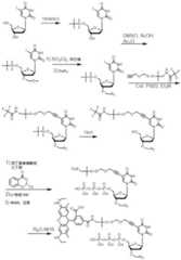 Figure BDA0003670511740004761