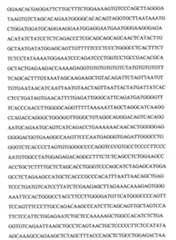 Figure 109103078-A0101-12-0082-10