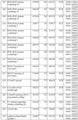 Figure imgf000142_0001