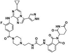 Figure BDA0002964098100001881