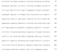 Figure 108123466-A0305-02-0490-401