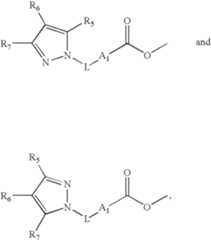 Figure US07732475-20100608-C00024