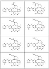 Figure imgf000011_0001