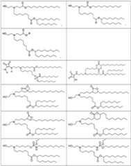 Figure imgf000012_0001