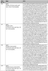 Figure BDA0003324235030001541