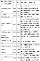 Figure BDA0001349734580001541