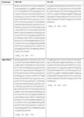 Figure imgf000031_0001