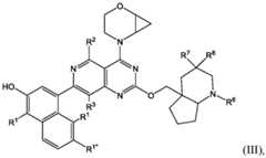 Figure imgf000007_0001