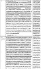 Figure GPA0000304243320000371